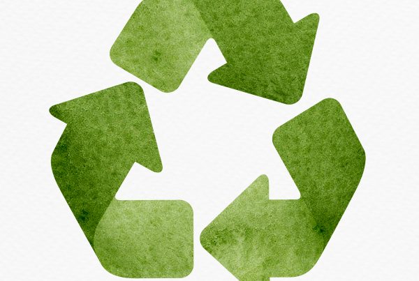 packaging sostenibile greenwashing