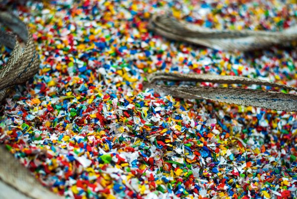 Microplastiche nel Po: i dati della ricerca Manta River Project 2 e l’impegno di Teamplast