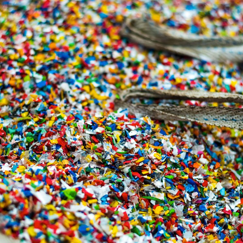 Microplastiche nel Po: i dati della ricerca Manta River Project 2 e l’impegno di Teamplast
