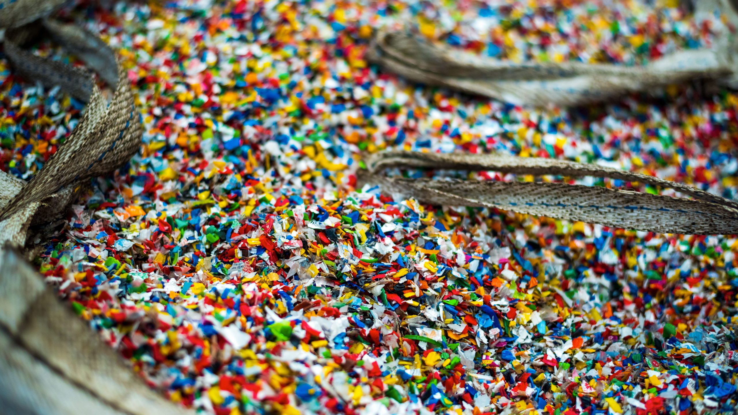 Microplastiche nel Po: i dati della ricerca Manta River Project 2 e l’impegno di Teamplast